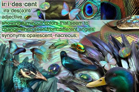 iridescent meaning in bengali